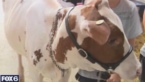 Racine County Fair runs from July 23-27; tradition, agriculture & more