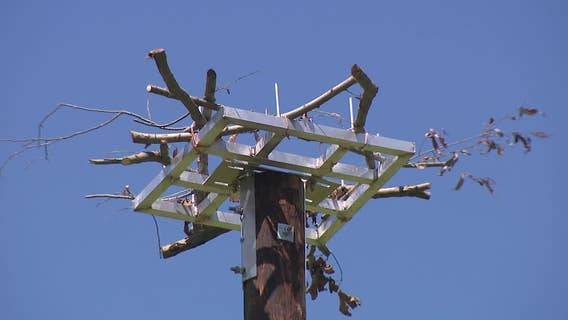 Osprey nests installed in Oconomowoc; We Energies leads the charge
