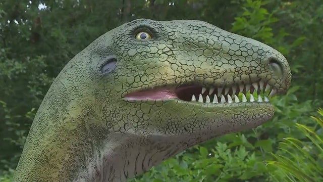 'Exploration Dinosaur' exhibit at Milwaukee County Zoo