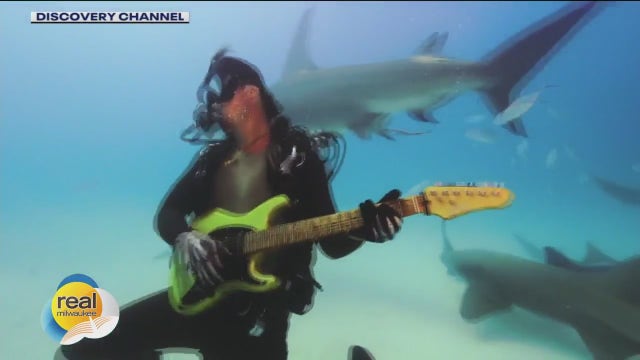 'Dancing With Sharks'; Gino at the Movies