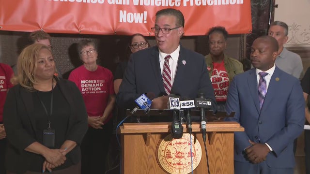 2025 Emergency Gun Violence Summit; Milwaukee leaders reveal date