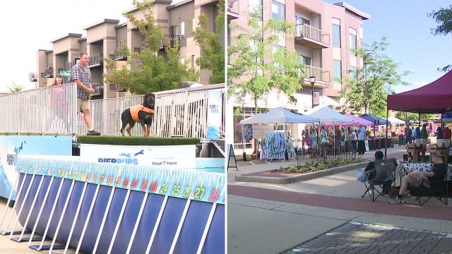 Oak Creek Dog Days, Night Market draw crowds to Drexel Town Square