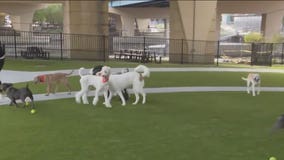 Downtown Milwaukee Dog Park ribbon cutting; Riverwalk landscape reshaped