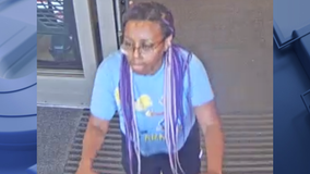 Menomonee Falls Target theft; police seek female suspect