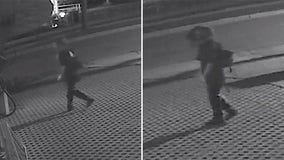 Walworth County attempted break-in, police seek suspect