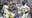 Brewers beat Pirates in 10th straight win; Turang hits 1st career leadoff homer