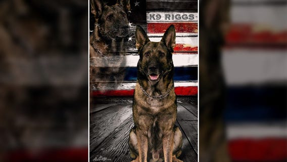 Kenosha County K-9 Riggs dies on same day namesake act becomes law