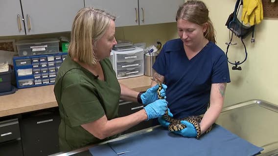 Wildlife In Need Center air conditioners break, donors step up