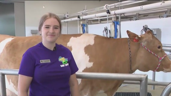 Check out Dairy Lane at the Wisconsin State Fair