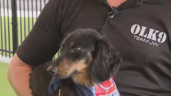 Downtown Milwaukee Dog Park grand opening on Aug. 20