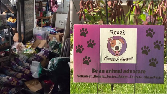 Milwaukee nonprofit that helps pet owners damaged by flooding