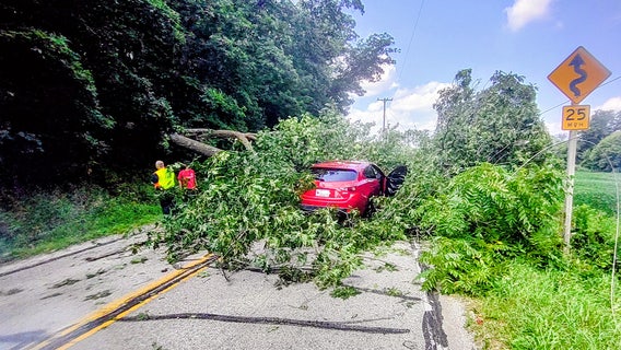 Tree falls onto car on Kenosha County highway, tangled in power lines