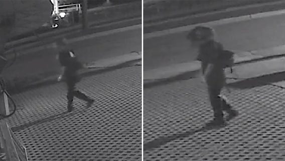 Walworth County attempted break-in, police seek suspect