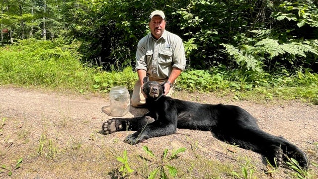 Oh, bother! Bear in northern Wisconsin gets head stuck in jar, freed