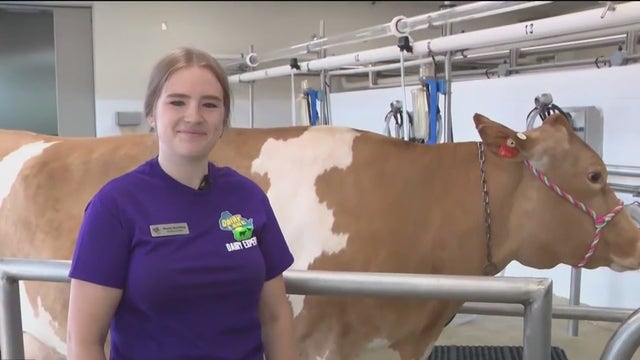 Check out Dairy Lane at the Wisconsin State Fair