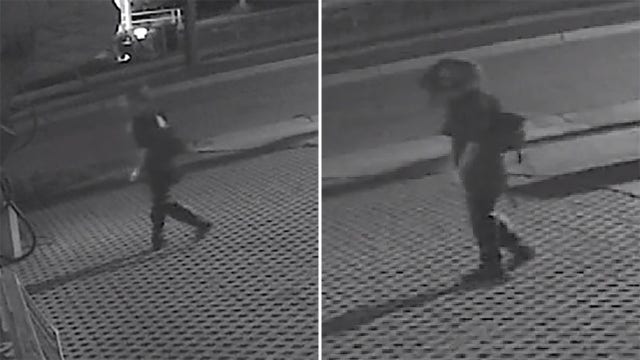 Walworth County attempted break-in, police seek suspect