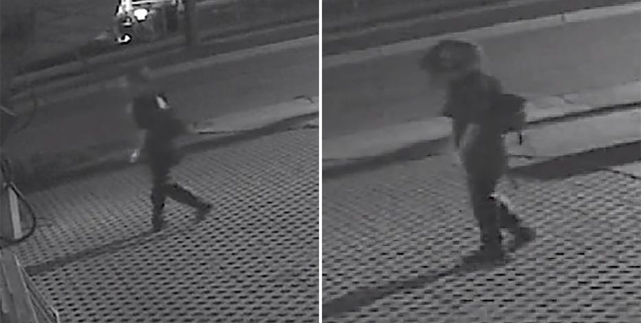 Walworth County attempted break-in, police seek suspect