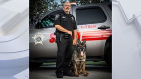 Milwaukee County Sheriff's Office K-9 Rock passes at age 12