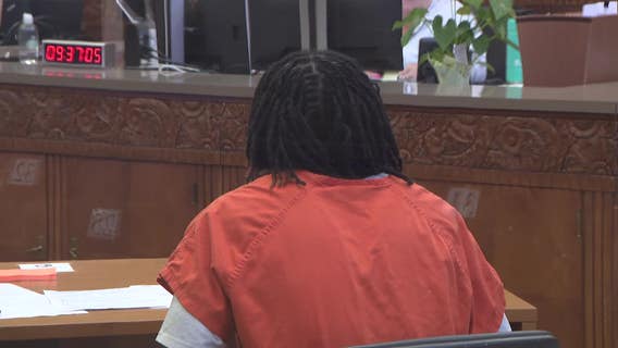 Milwaukee sex assault; teen 'serial rapist' pleads guilty, survivor talks