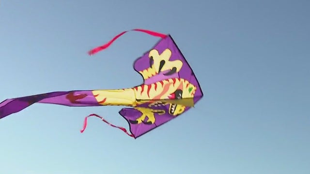 IKEA Frank Mots International Kite Festival at Milwaukee's lakefront