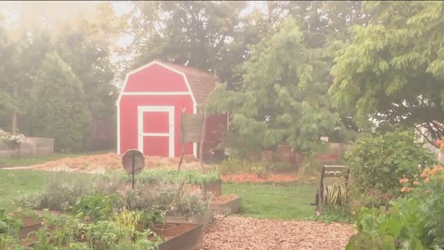 Milwaukee Native Wellness Garden promotes health, well-being