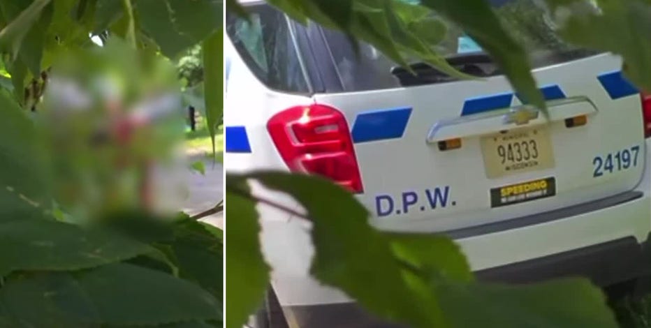 Milwaukee DPW employee caught on camera exploiting apparent sex worker