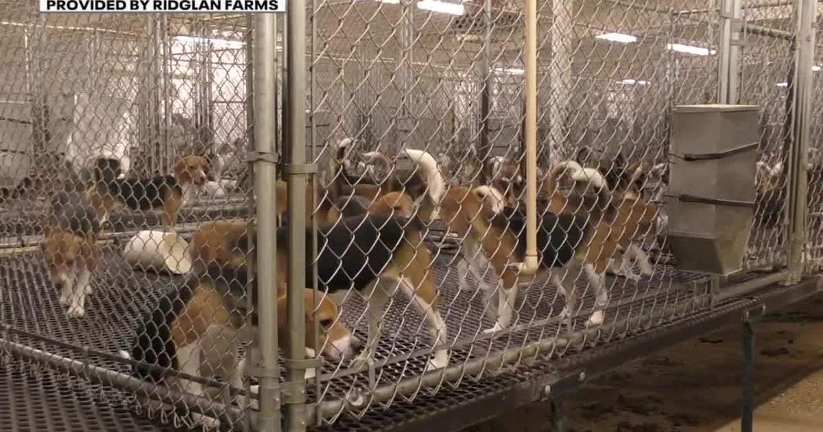 Wisconsin rescinds exception for dog breeding farm's puppy sales