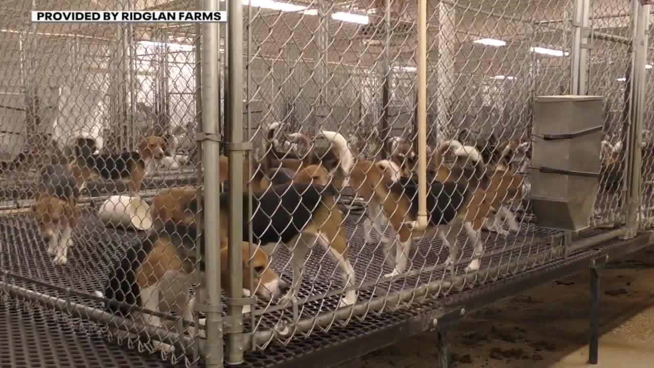 Wisconsin rescinds exception for dog breeding farm's puppy sales