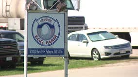 Bird flu returns to Palmyra farm; neighbors brace for chickens to be composted