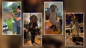 Wauwatosa troll inspires Halloween costume, man explains creation