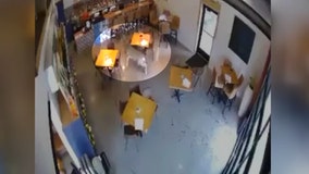 Deer breaks into Wisconsin wine bar: video