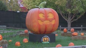 'Boo at the Zoo' in Racine offers plenty of Halloween fun