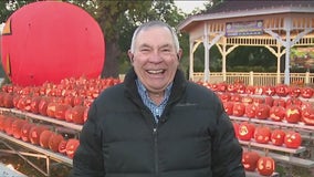 Hallowings Pumpkin Carving Festival 2025 at Greendale's Gazebo Park