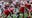 Wisconsin Badgers shut out by No. 1 Ohio State Buckeyes, 34-0