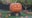 'Boo at the Zoo' in Racine offers plenty of Halloween fun