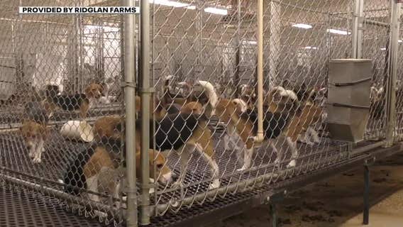 Wisconsin rescinds exception for dog breeding farm's puppy sales