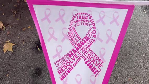 Making Strides Against Breast Cancer walk at Milwaukee's lakefront