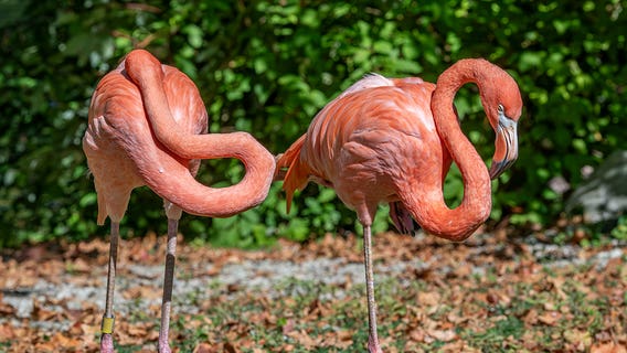 Milwaukee County Zoo Family Free Day set for Saturday, Nov. 1