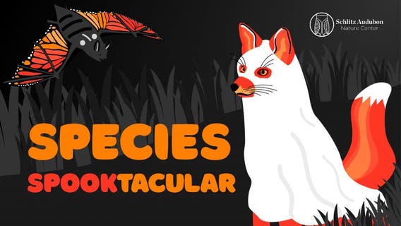 Schlitz Audubon Nature Center hosting 'Species Spooktacular!'