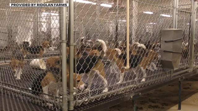 Wisconsin rescinds exception for dog breeding farm's puppy sales