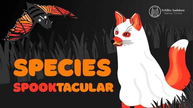 Schlitz Audubon Nature Center hosting 'Species Spooktacular!'