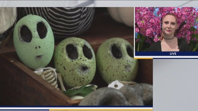 Spooky Frog Horrifying Book Fair in Brookfield Saturday