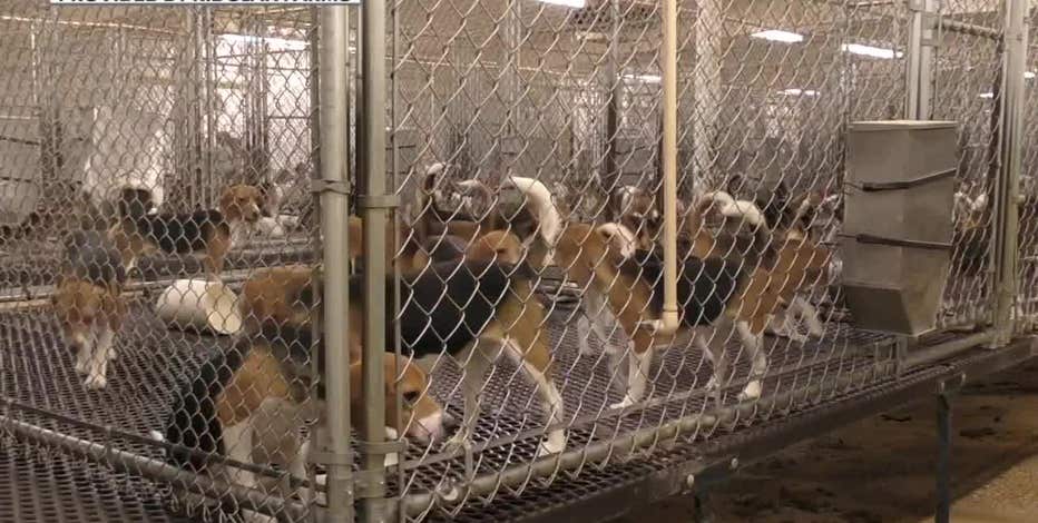Wisconsin rescinds exception for dog breeding farm's puppy sales