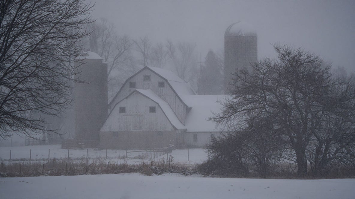 Wisconsin winter storm: Share pictures of snow in your neighborhood