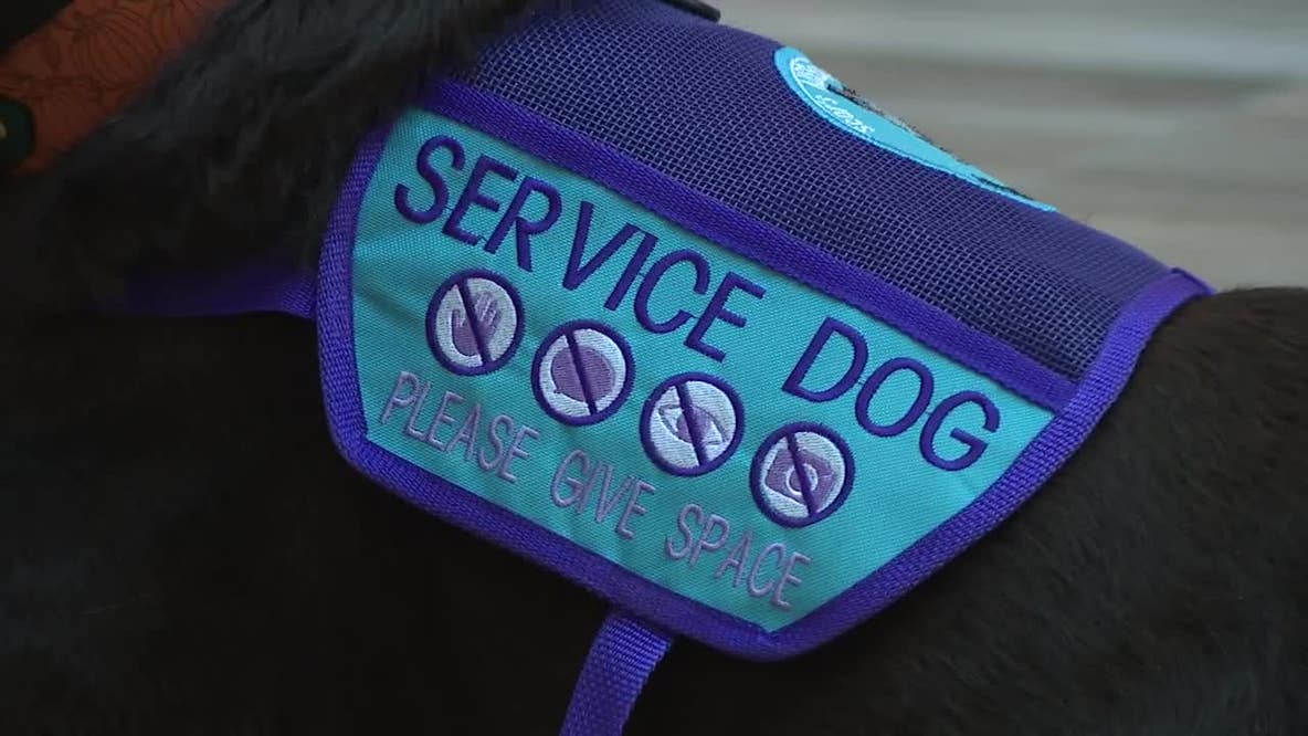 Fake service animals, ESAs; Wisconsin lawmakers tighten the leash