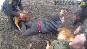 Kenosha County shots fired, suspect arrested after pursuit