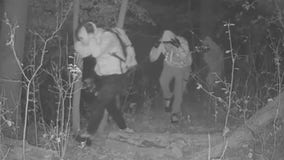 Mequon burglaries, new video shows potentially same suspects