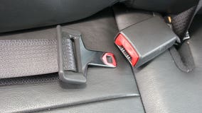 Wisconsin seat belt use report: 94% of drivers in state buckle up