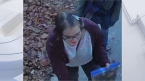 Slender Man stabbing: Morgan Geyser found in Illinois