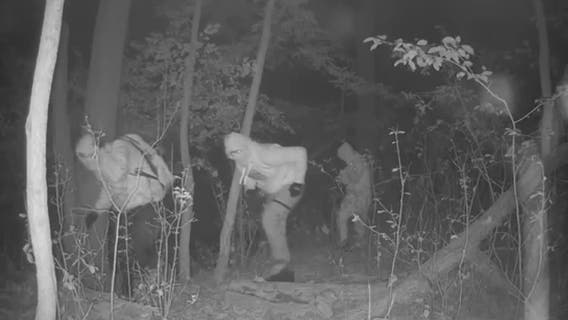 Mequon burglaries; crimes similar to break-ins at homes of pro athletes